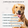 The Boo Care Pomiritev in sprostitev – mehki žvečljivi priboljški za pse (slika 2)