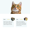 The Boo Care Sijoča dlaka – mehki žvečljivi priboljški za mačke (slika 4)