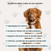 The Boo Care Urejena prebava – mehki žvečljivi priboljški za pse (slika 2)