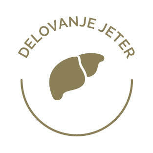 Delovanje jeter